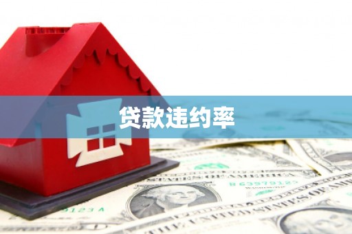那玛夏贷款违约率