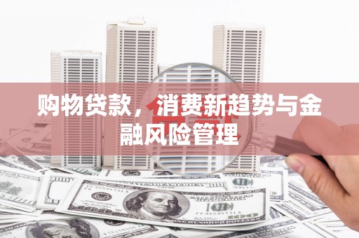 梧州购物贷款，消费新趋势与金融风险管理