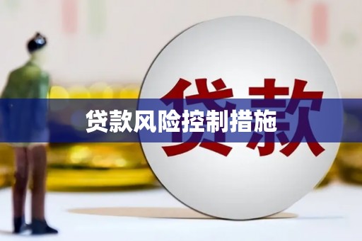 东乡族贷款风险控制措施