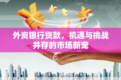 宁明外资银行贷款，机遇与挑战并存的市场新宠