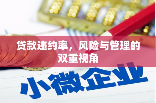 龙崎贷款违约率，风险与管理的双重视角