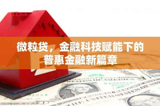 张掖微粒贷，金融科技赋能下的普惠金融新篇章