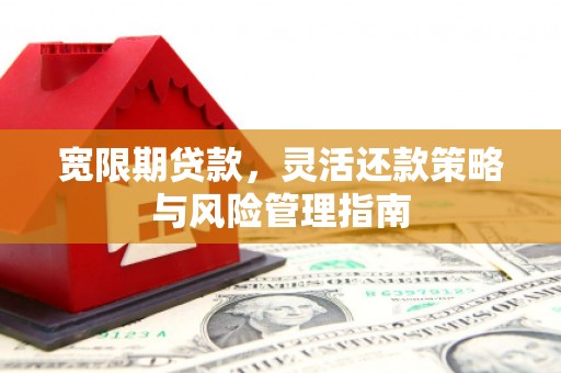 圣方济各堂区宽限期贷款，灵活还款策略与风险管理指南
