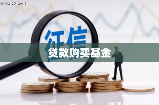 盐边贷款购买基金