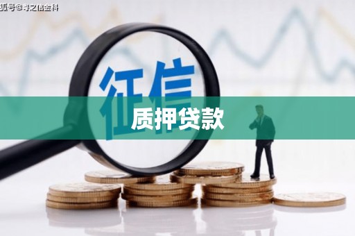 皇姑质押贷款