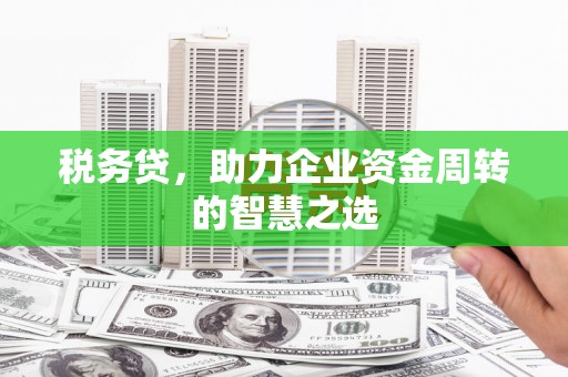 镜湖税务贷，助力企业资金周转的智慧之选
