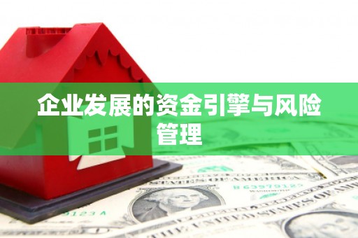 惠济企业发展的资金引擎与风险管理