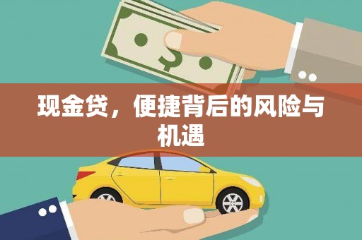 徐州现金贷，便捷背后的风险与机遇
