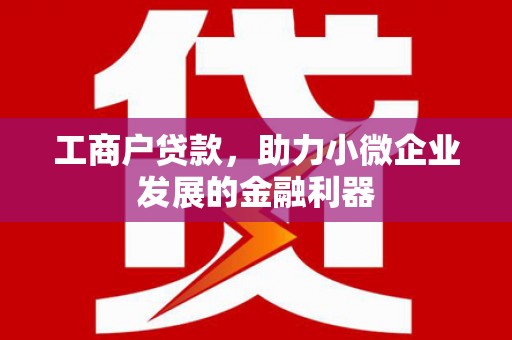 武侯工商户贷款，助力小微企业发展的金融利器
