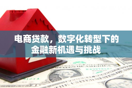 将军电商贷款，数字化转型下的金融新机遇与挑战