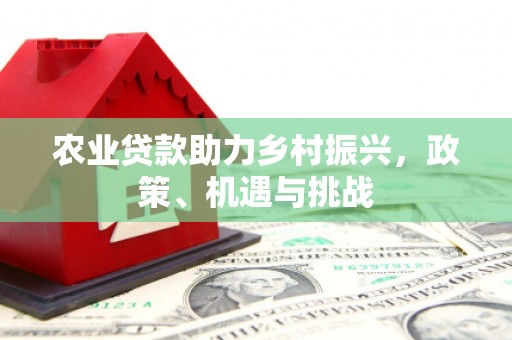 阿图什农业贷款助力乡村振兴，政策、机遇与挑战