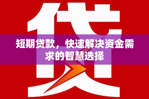 洛扎短期贷款，快速解决资金需求的智慧选择