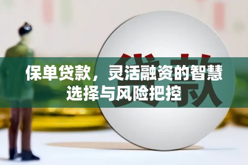 桐城保单贷款，灵活融资的智慧选择与风险把控