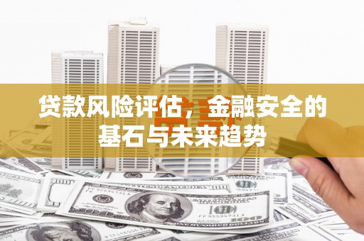 衡东贷款风险评估，金融安全的基石与未来趋势