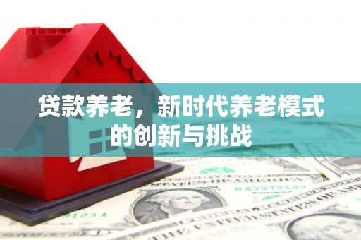 永寿贷款养老，新时代养老模式的创新与挑战