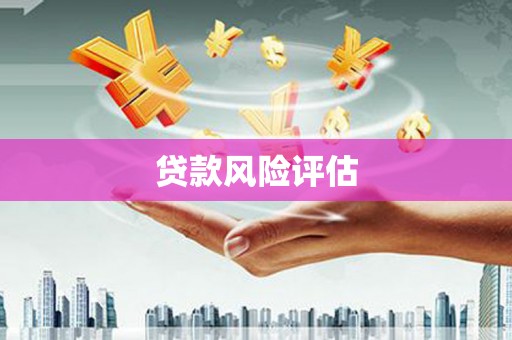 聂荣贷款风险评估