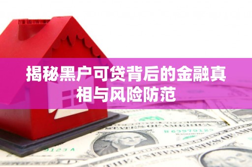 平湖揭秘黑户可贷背后的金融真相与风险防范