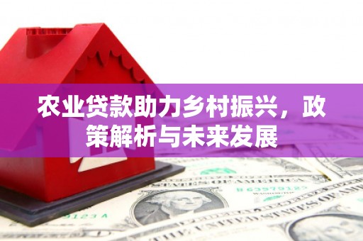 兰州农业贷款助力乡村振兴，政策解析与未来发展