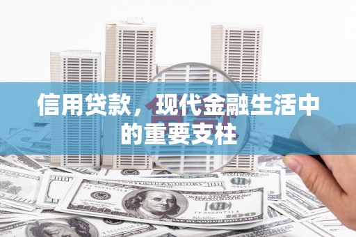 西夏信用贷款，现代金融生活中的重要支柱