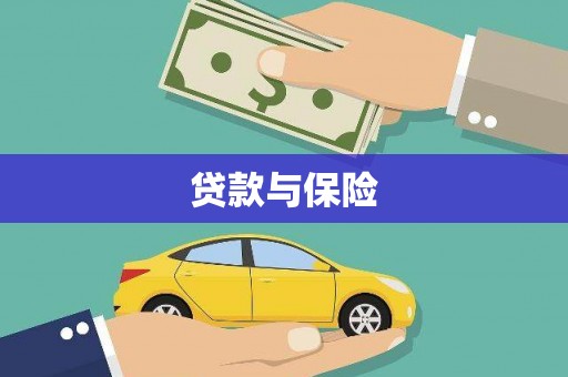 金湾贷款与保险