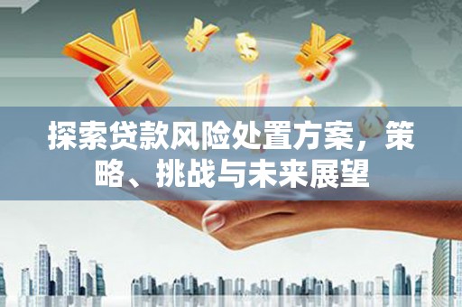 禹会探索贷款风险处置方案，策略、挑战与未来展望