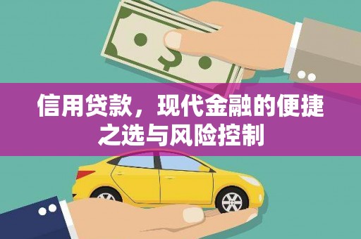 维西信用贷款，现代金融的便捷之选与风险控制