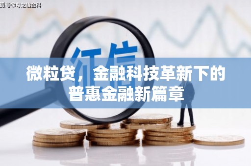 隆回微粒贷，金融科技革新下的普惠金融新篇章