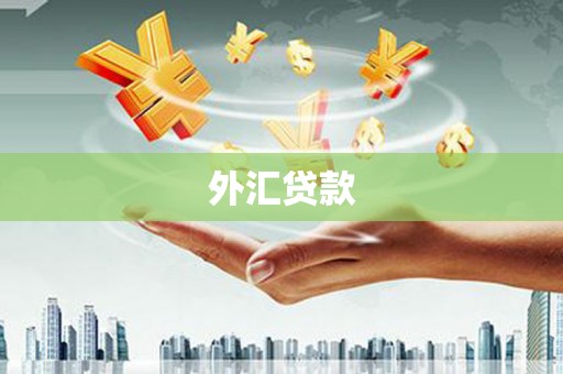 白河外汇贷款
