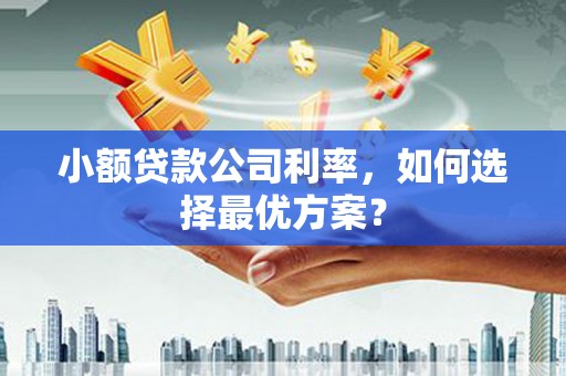 东兴小额贷款公司利率，如何选择最优方案？