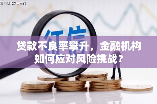 邯山贷款不良率攀升，金融机构如何应对风险挑战？