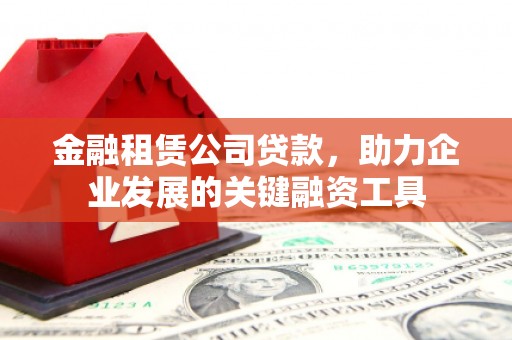 尼玛金融租赁公司贷款，助力企业发展的关键融资工具