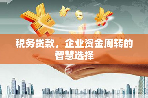 海拉尔税务贷款，企业资金周转的智慧选择