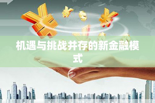 泗礁机遇与挑战并存的新金融模式