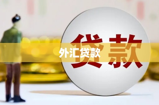 奎文外汇贷款