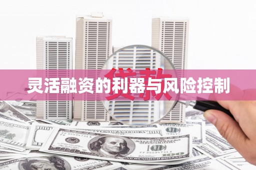 宁远灵活融资的利器与风险控制