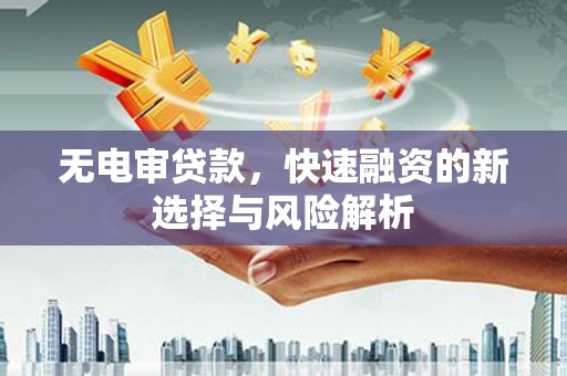 渭源无电审贷款，快速融资的新选择与风险解析