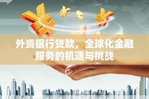 埌东外资银行贷款，全球化金融服务的机遇与挑战