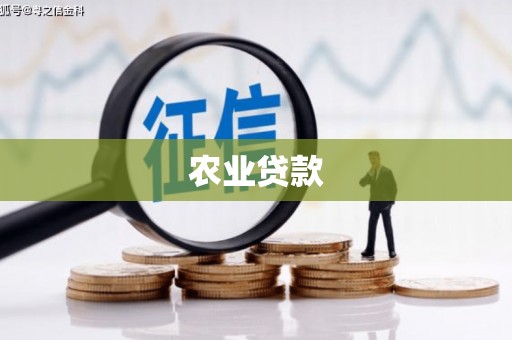 普湾新区农业贷款