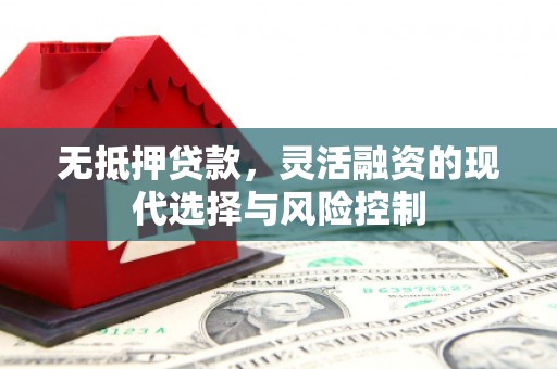 沂南无抵押贷款，灵活融资的现代选择与风险控制