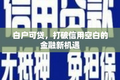南化白户可贷，打破信用空白的金融新机遇