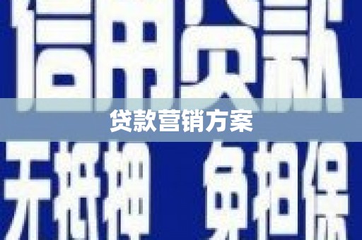 曲麻莱贷款营销方案