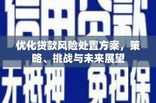 牧野优化贷款风险处置方案，策略、挑战与未来展望