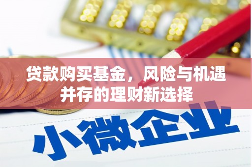 泗阳贷款购买基金，风险与机遇并存的理财新选择