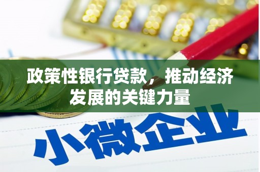 赫山政策性银行贷款，推动经济发展的关键力量
