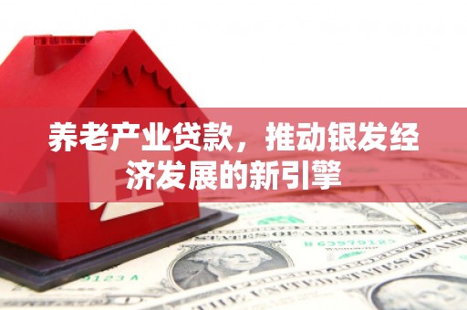 荥经养老产业贷款，推动银发经济发展的新引擎