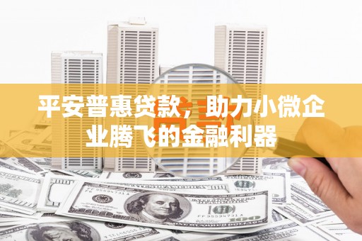 大冶平安普惠贷款，助力小微企业腾飞的金融利器