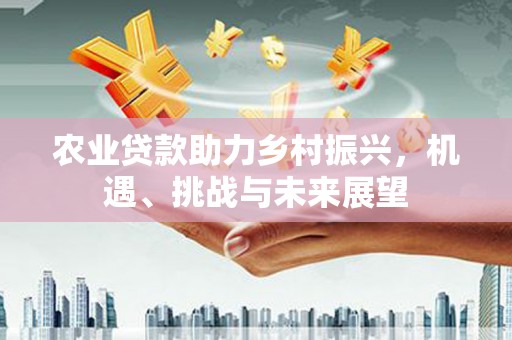 乐清农业贷款助力乡村振兴，机遇、挑战与未来展望