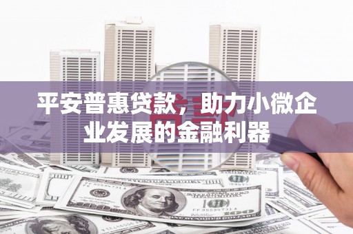 大宁平安普惠贷款，助力小微企业发展的金融利器