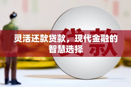 伊吾灵活还款贷款，现代金融的智慧选择