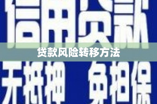 芦淞贷款风险转移方法